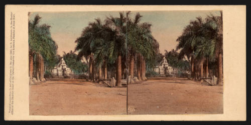 Avenue of Royal Palms on the Paseo, with the Indian Statue...