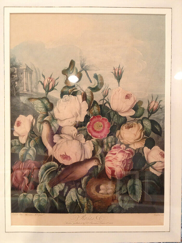 image overall