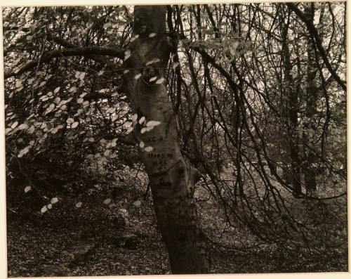 Kansas City (grounds of the Nelson-Atkins Art Museum)