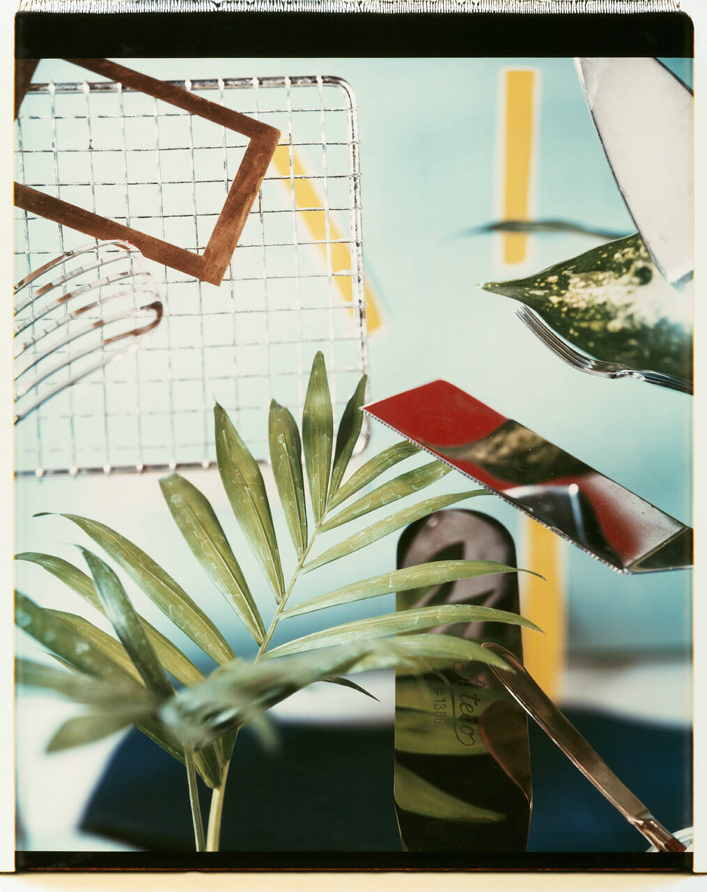 Untitled (Kitchen Still Life) #11