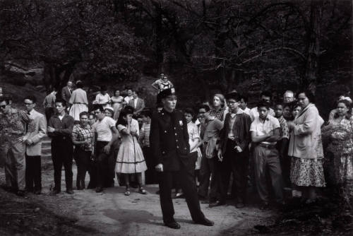 Crowd Watching a Failed Resuscitation, Central Park