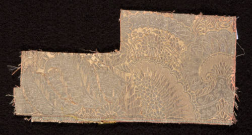 Fragment