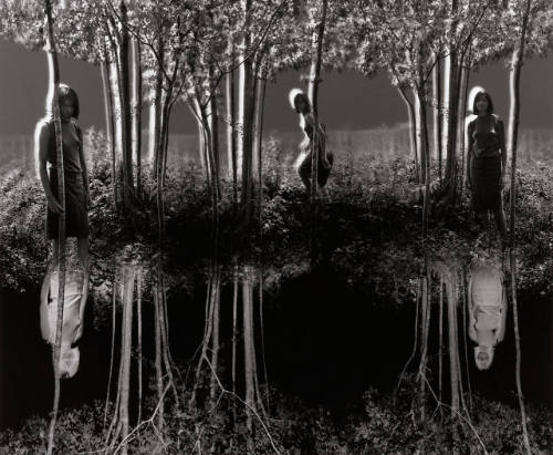 Small Woods Where I Met Myself (Final Version)