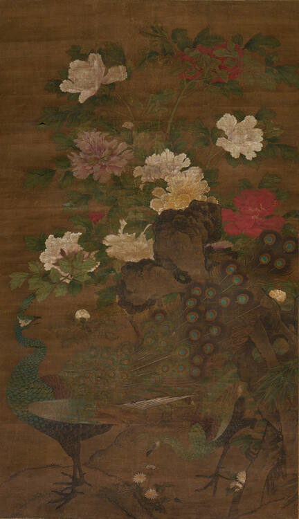 Peonies and Peacock