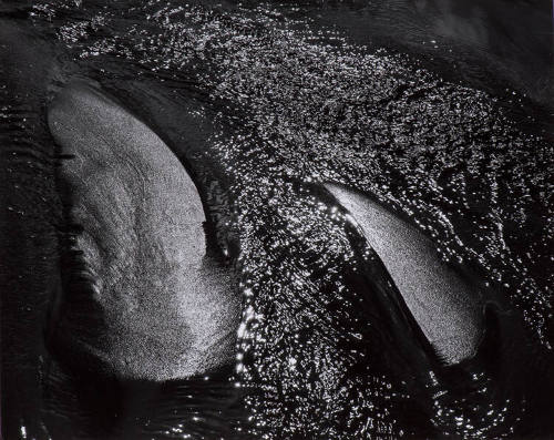 Shoreline