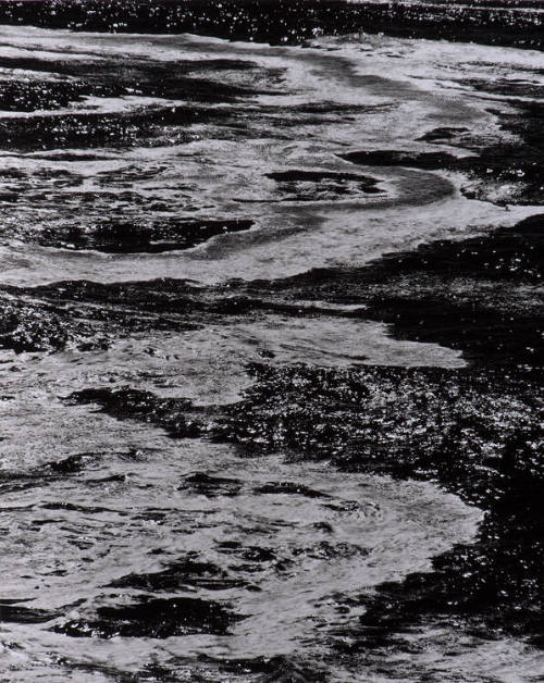 Shoreline