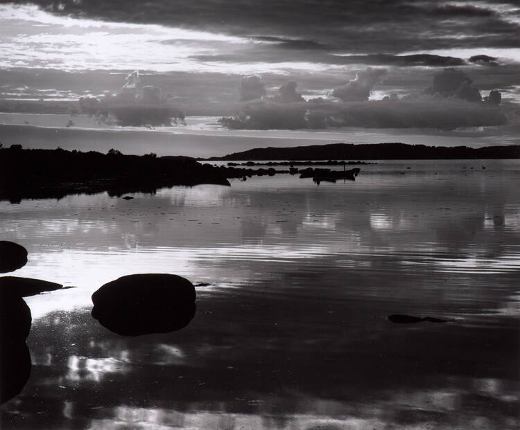 Shoreline