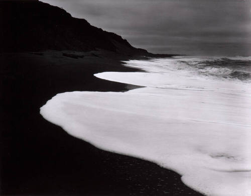 Shoreline