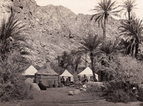 Encampment in the Wilderness of Paran