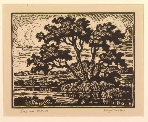 Pond with Willows
