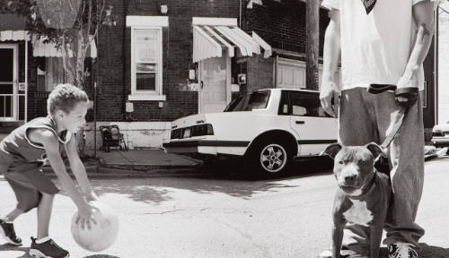 Lawrenceville Dog
