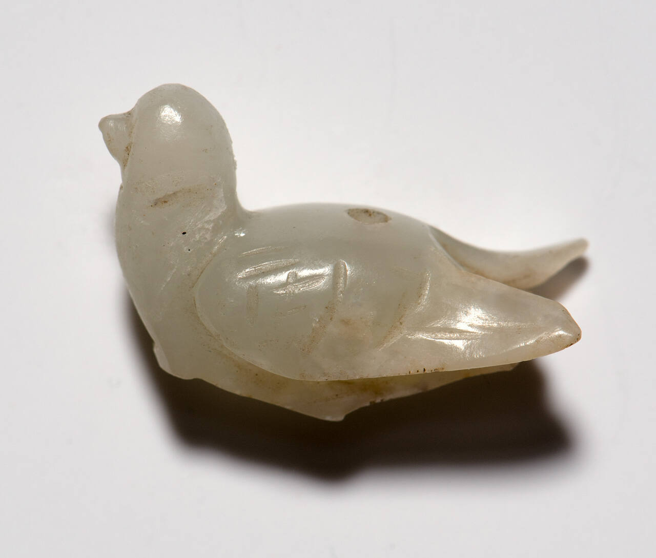 Bird