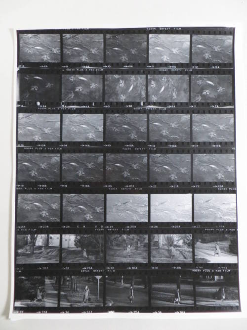 Guggenheim Work: USA64: 2032-2038