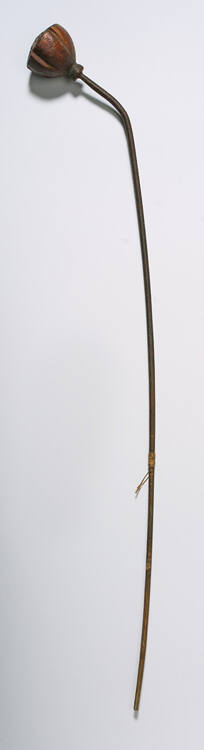 Flower Bud Seed Pod