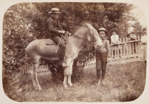 Untitled (Boy on Mule)