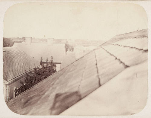 Untitled (Rooftop View)