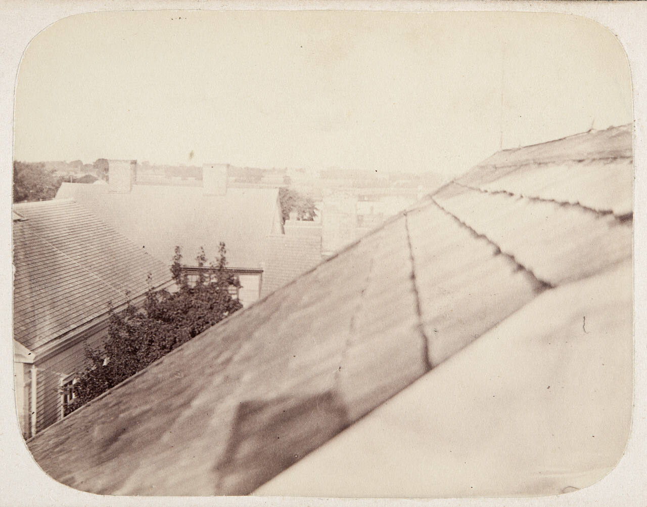 Untitled (Rooftop View)