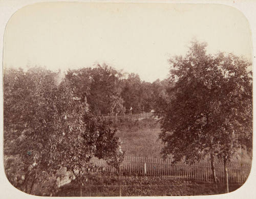 Untitled (Landscape)