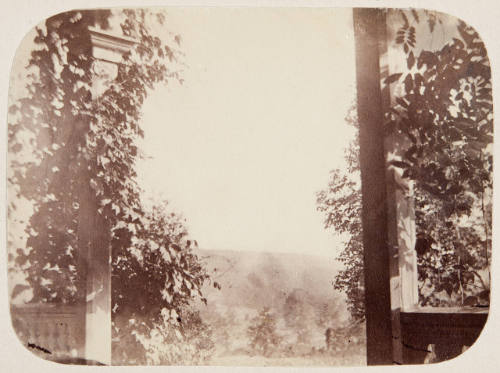 Untitled (View from Porch)