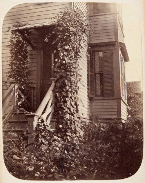 Untitled (House)