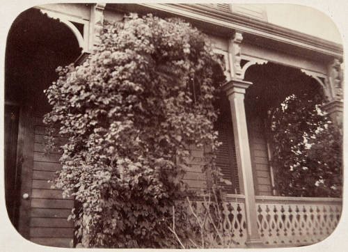 Untitled (House)