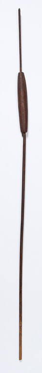 Cattail Flower