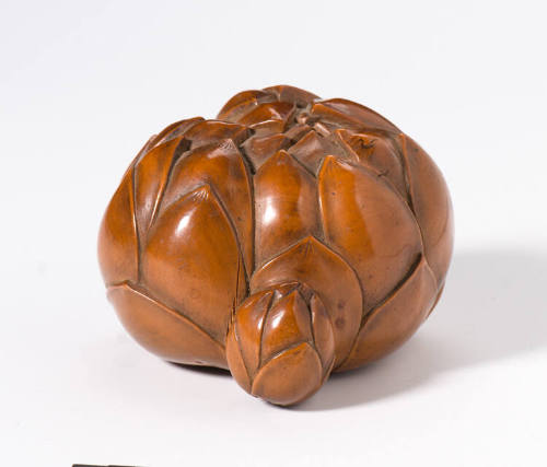 Lotus Bud