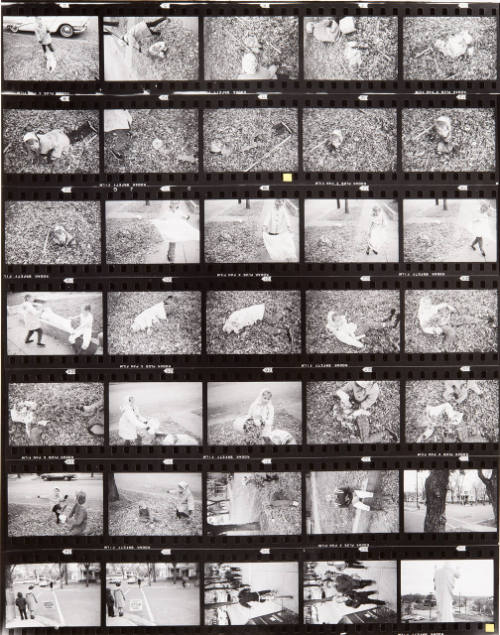 Guggenheim Work: USA64: 0239-0245