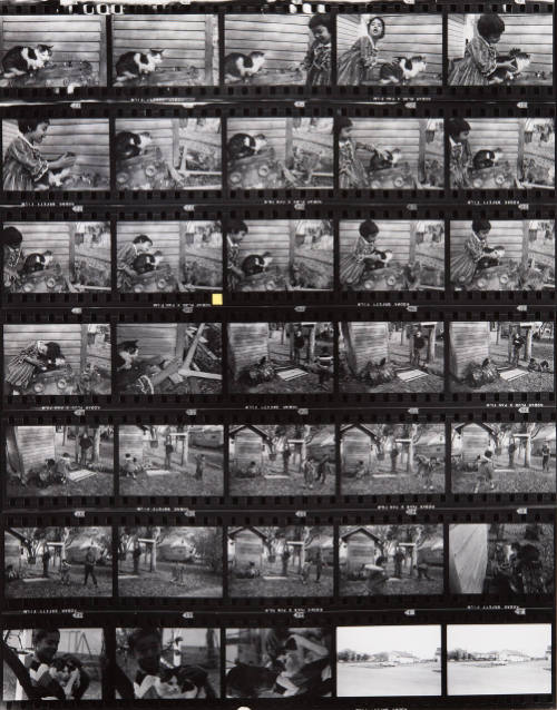 Guggenheim Work: USA64: 0400-0406
