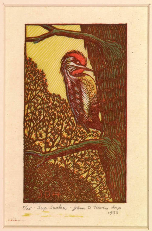 Sap Sucker