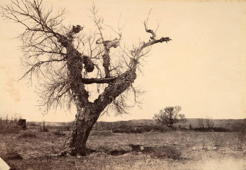Indian Burial Place on Deer Creek