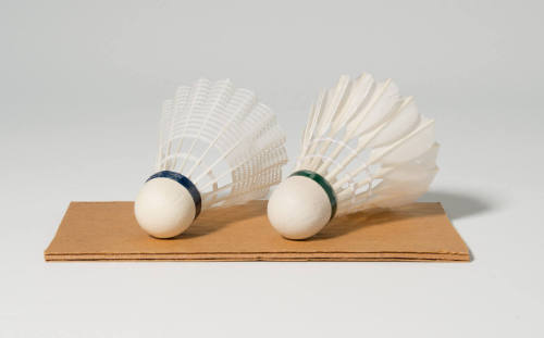 Two Shuttlecocks