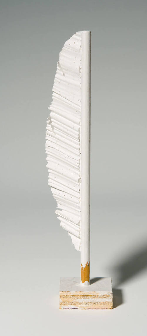 Study for Shuttlecock Feather