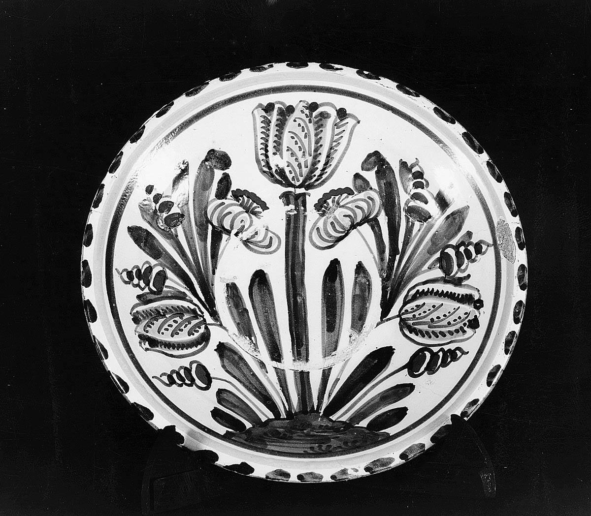 Dish