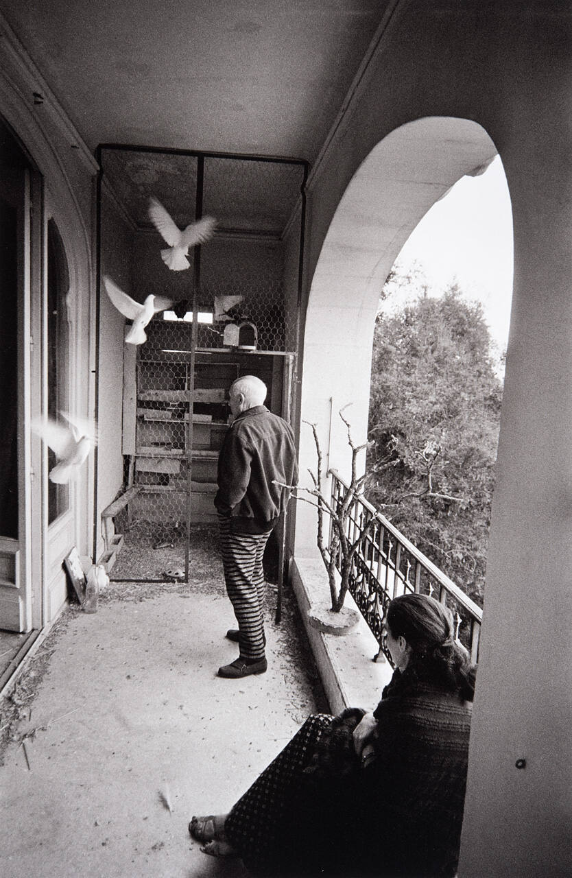 Picasso on La Californie's third-floor balcony, where his pigeons lived