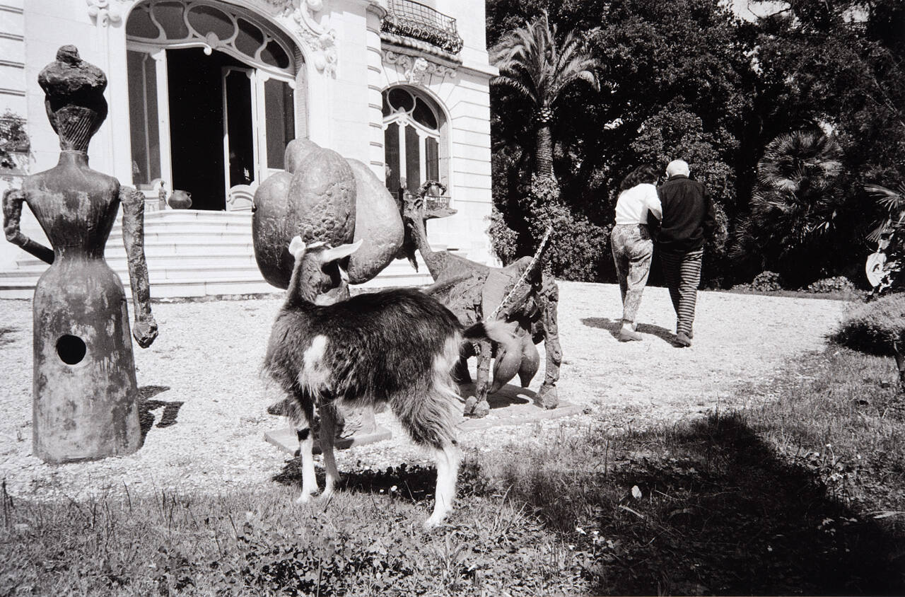 Picasso and Jacqueline walk in the villa's garden. She runs to answer the phone.