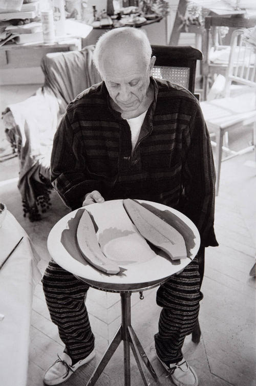 Picasso makes plate of sole's skeleton