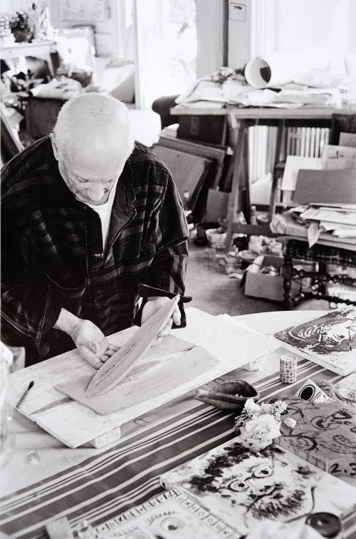 Picasso makes plate of sole's skeleton