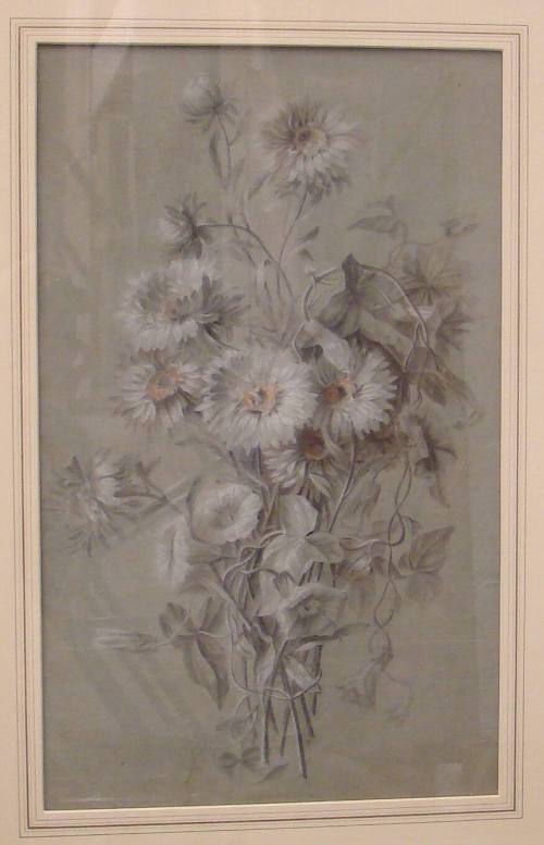 Chrysanthemums and Convolvulus