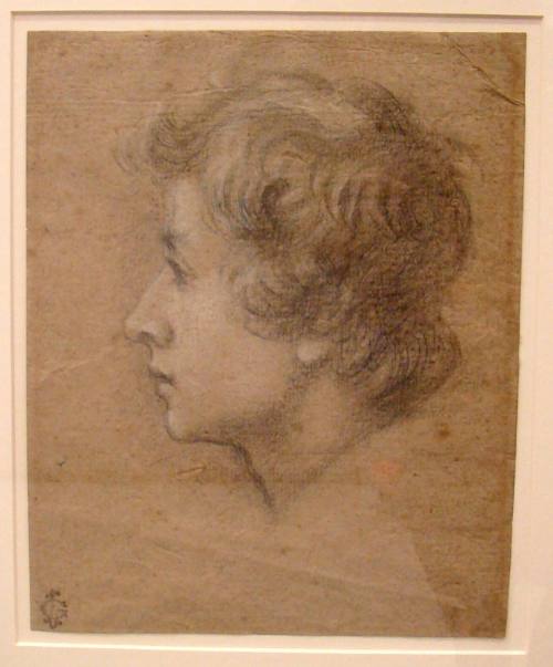 Head of a Youth in Profile