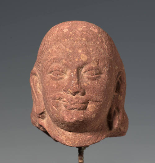 Head of a Male Donor