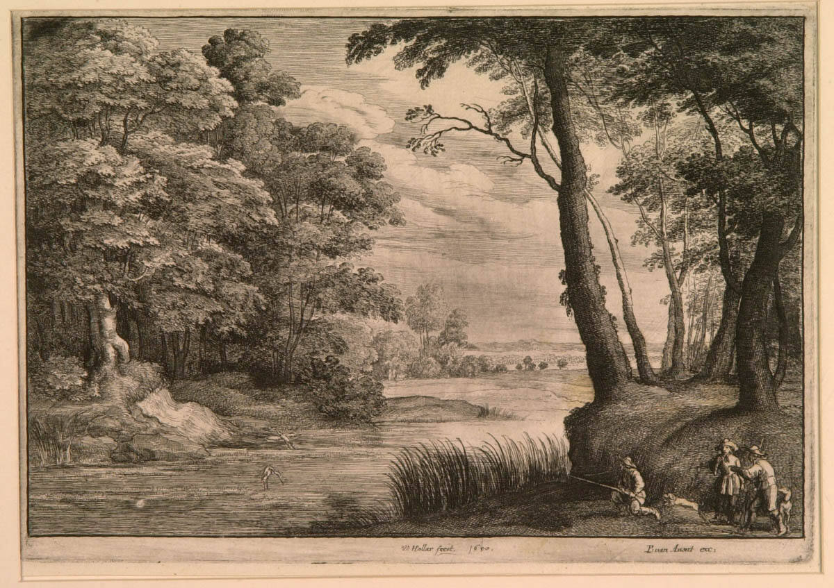 Heron Shooting