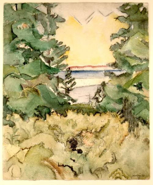 Maine Landscape