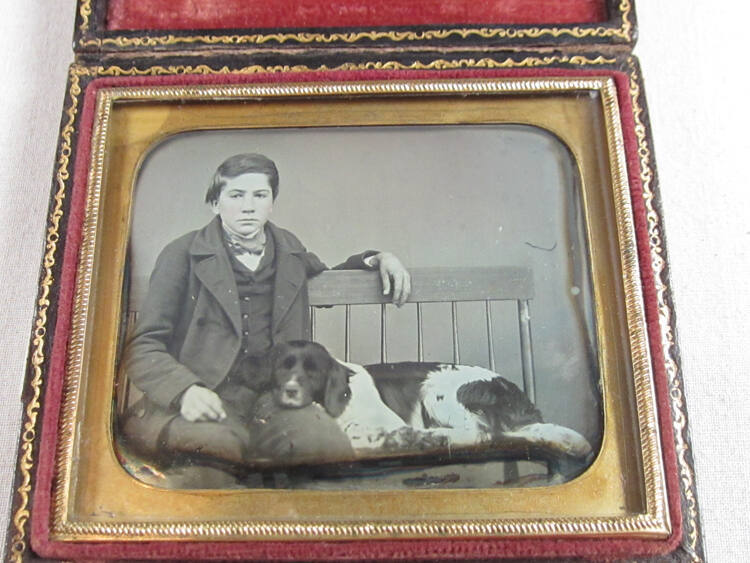Boy and dog on bench