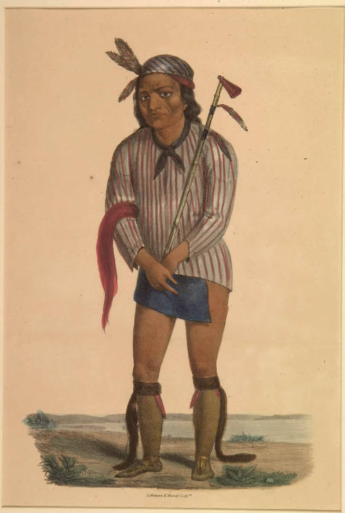 A Sioux Chief