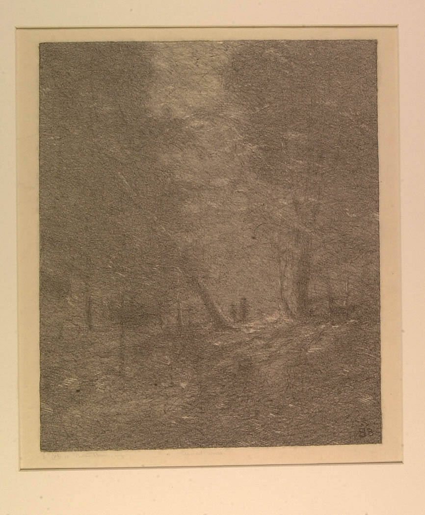 Moonlit Woods