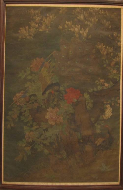 Peacocks and Peonies