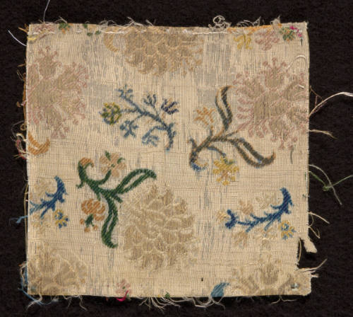 Fragment