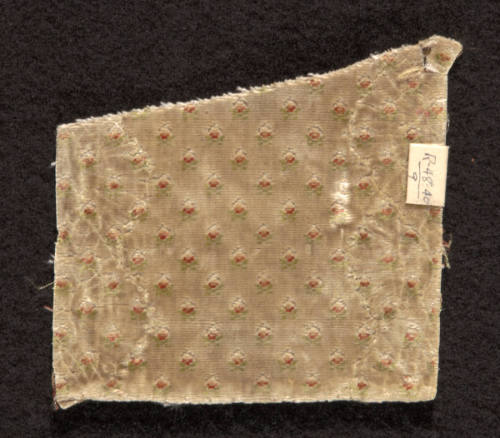 Fragment