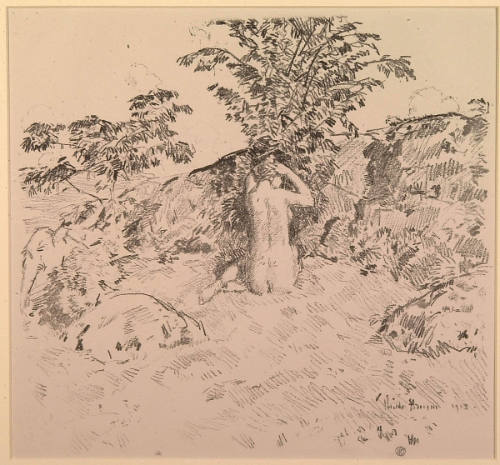 The Wild Cherry Tree
